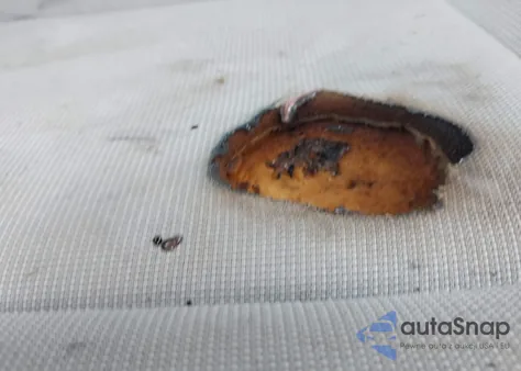 2024 Hyundai Kona Se из США, поврежденный, VIN KM8HA3AB7RU160895